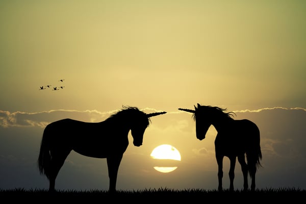 How to do Market Research: Differentiation, Trends, Indicators and Warnings
