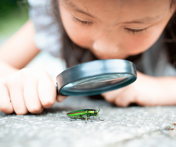 5 Takeaways for Product Marketers from our Forrester Conducted Survey