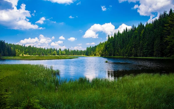 A New View on Competitive Intelligence Software: Intelligence Lakes and Intelligence Warehouses
