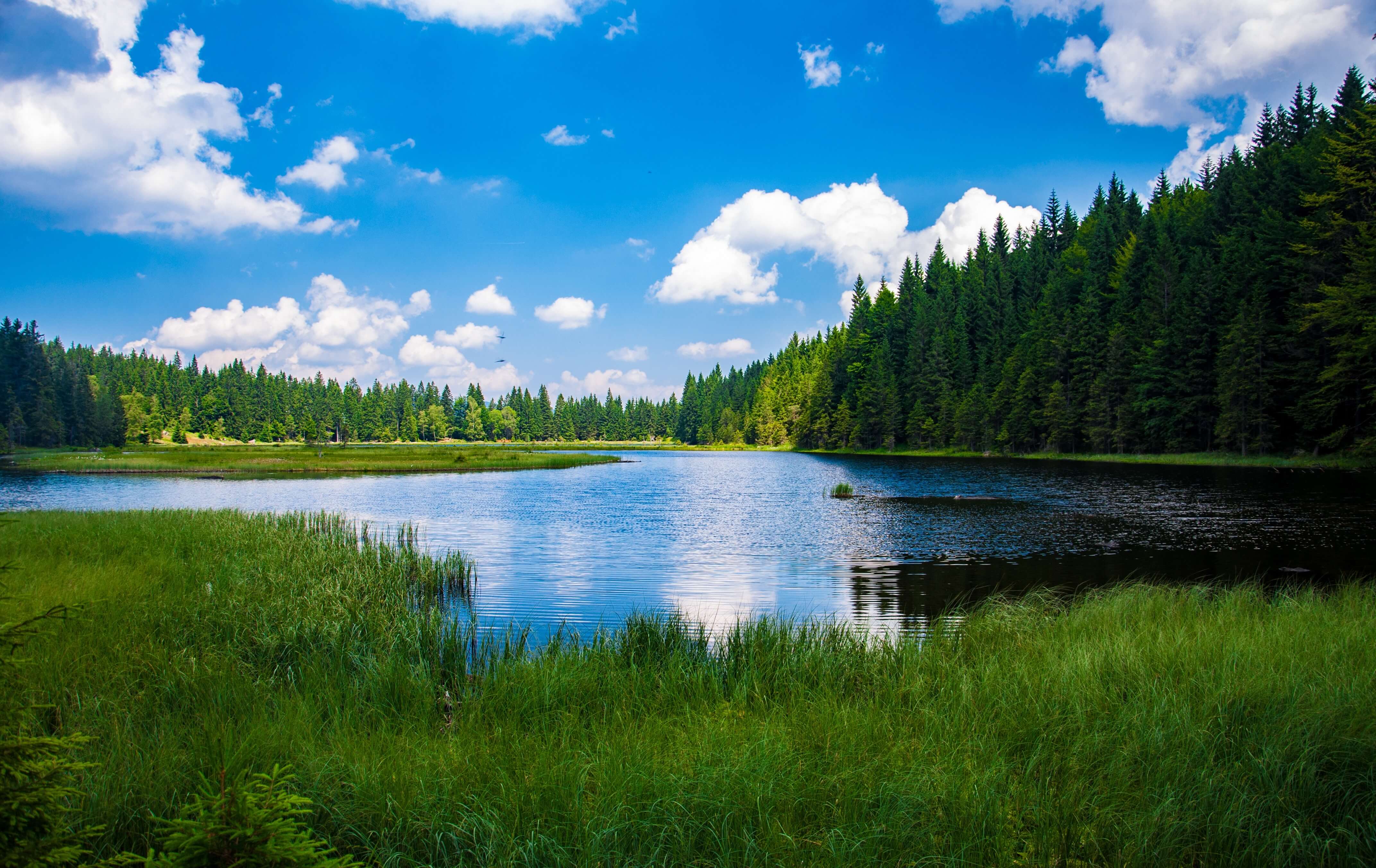 A New View on Competitive Intelligence Software: Intelligence Lakes and Intelligence Warehouses